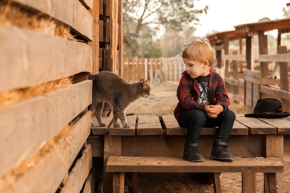 Photograph by Елена Шерстнева