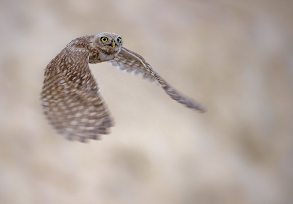 Photograph by Nagarajan P