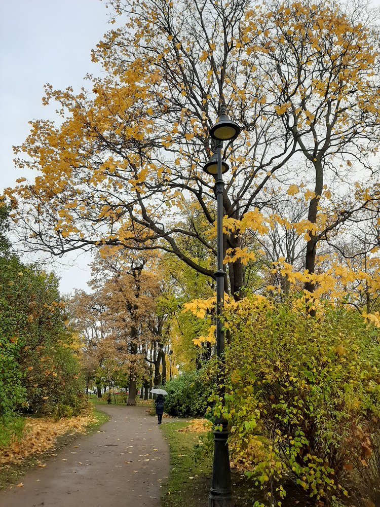 Фотография автора Светлана Дунаева