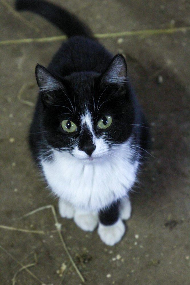 Photograph by Лилия Алексеева