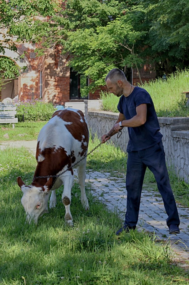 Photograph by Владимир Леликов