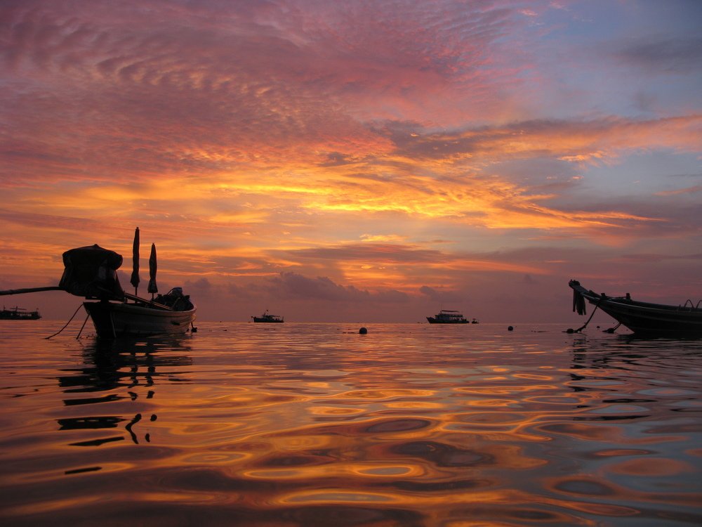 Photograph by Lana Anferow