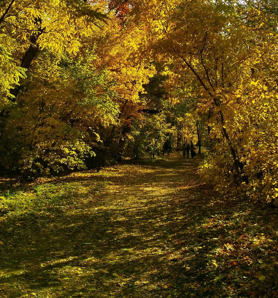 Photograph by Нурия Бикинеева