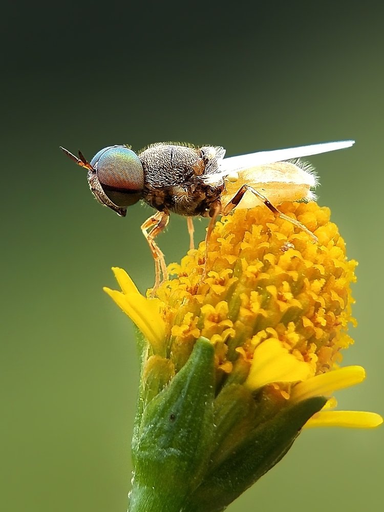 Photograph by Tinku Sardar