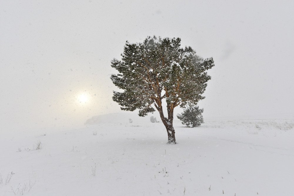 Photograph by Маргарита Фискина