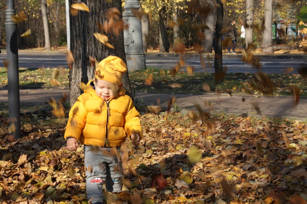 В Сокольниках