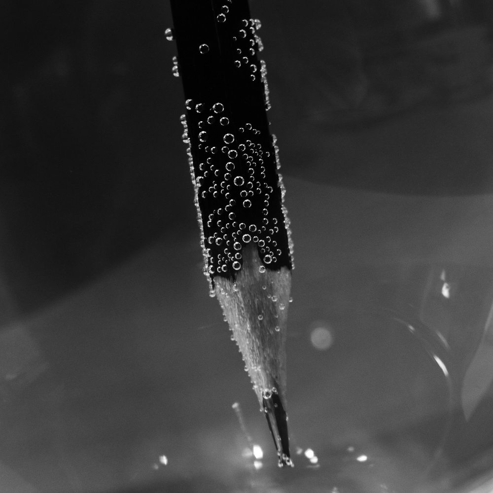 Photograph by Kristina Ter-Hovhannisyan