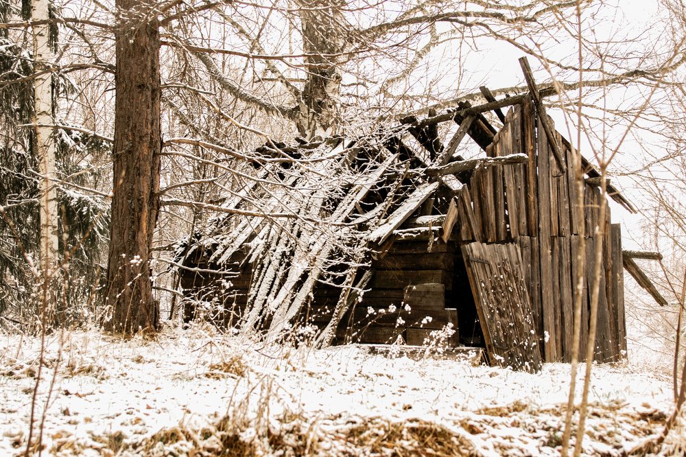 Запустение