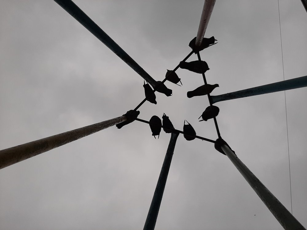 Photograph by Владимир Алейников