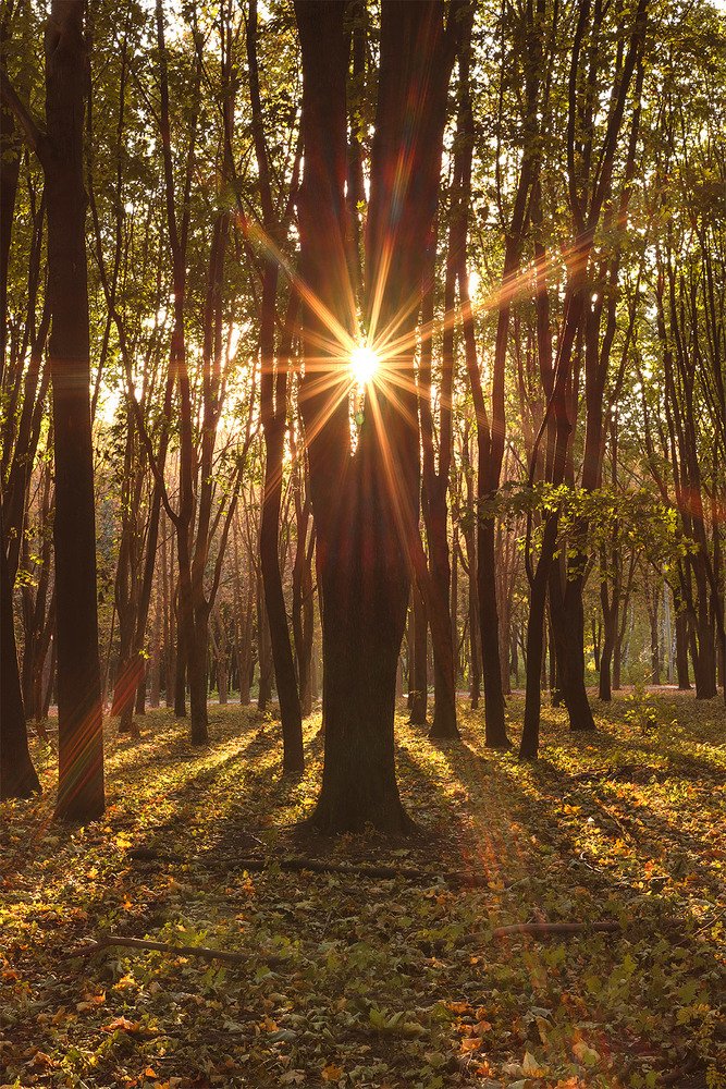 Photograph by Валерий Вторыгин