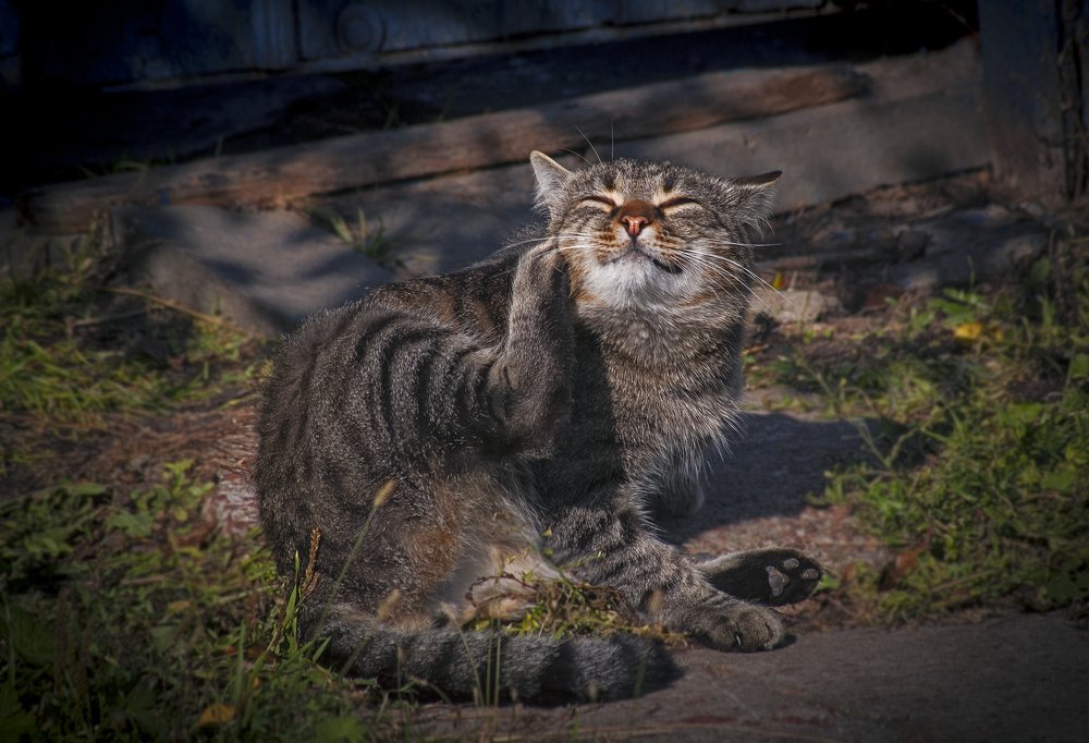 Блаженство.