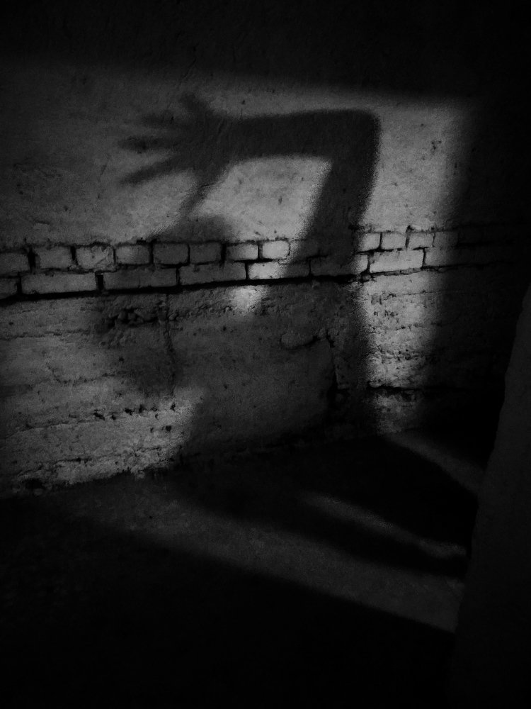 Photograph by Javohirbek Gayratov