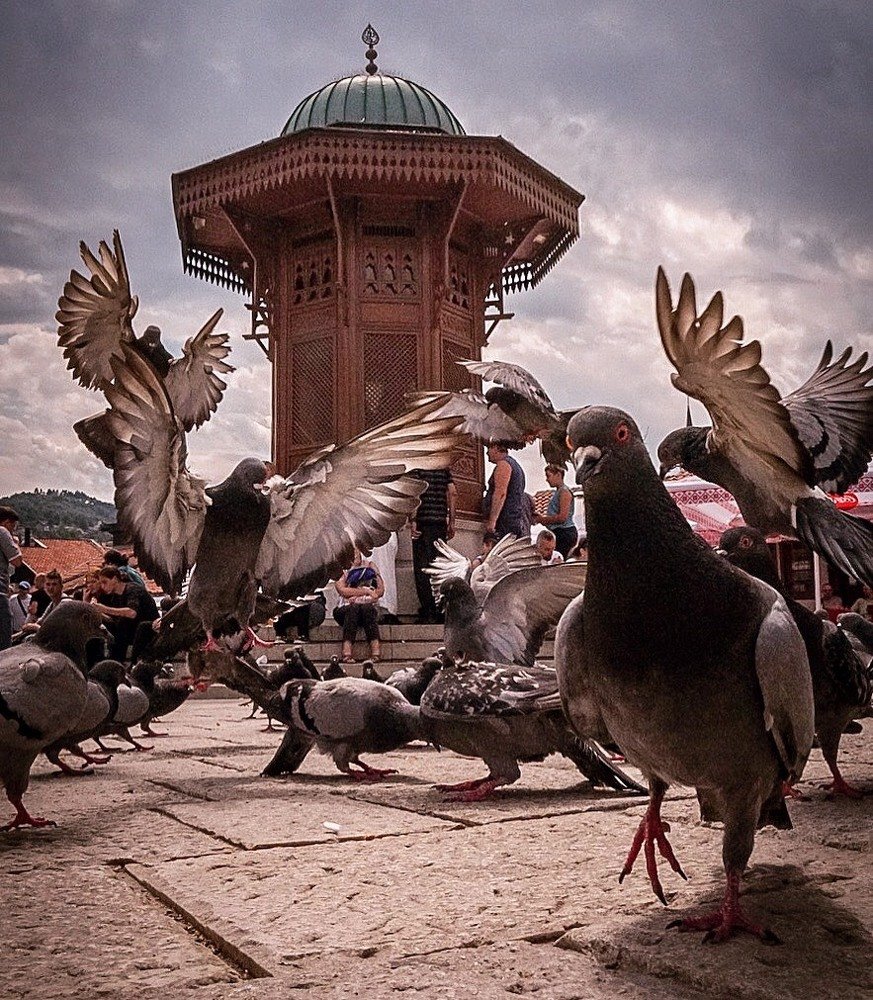 Photograph by Vladimir Smaženka