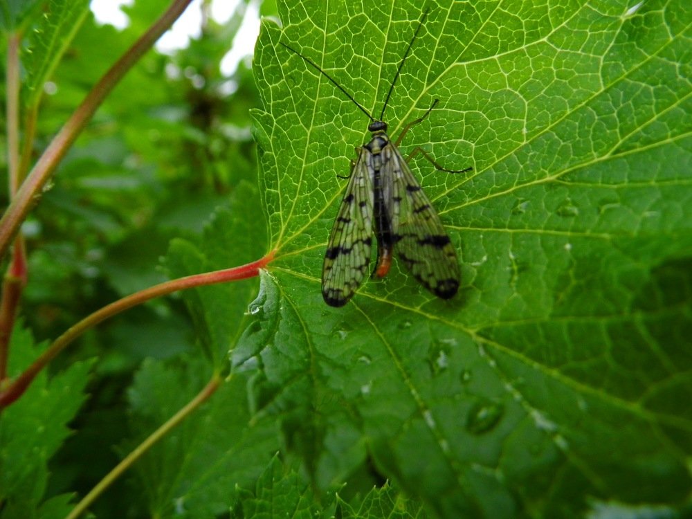 Photograph by Елена Грошева