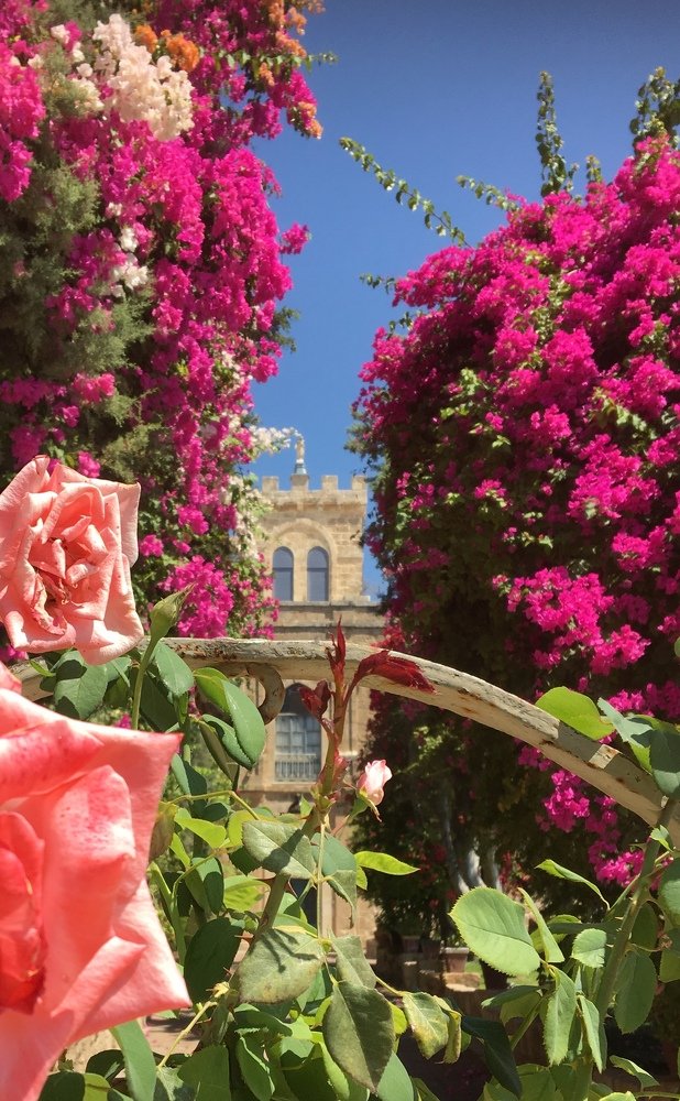 Photograph by Алина Смирнова