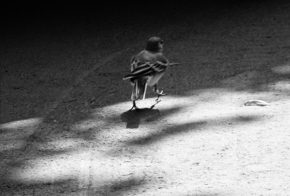 Только вперёд!