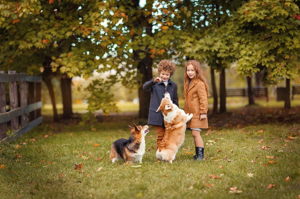 Photograph by Екатерина Кияева