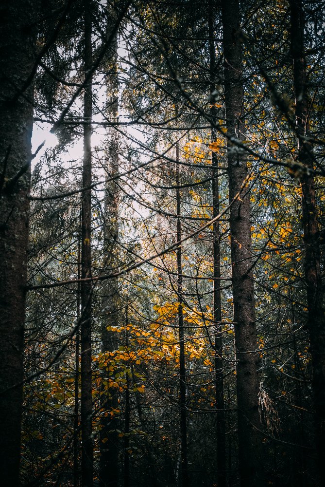 Photograph by Сергей Доржиев