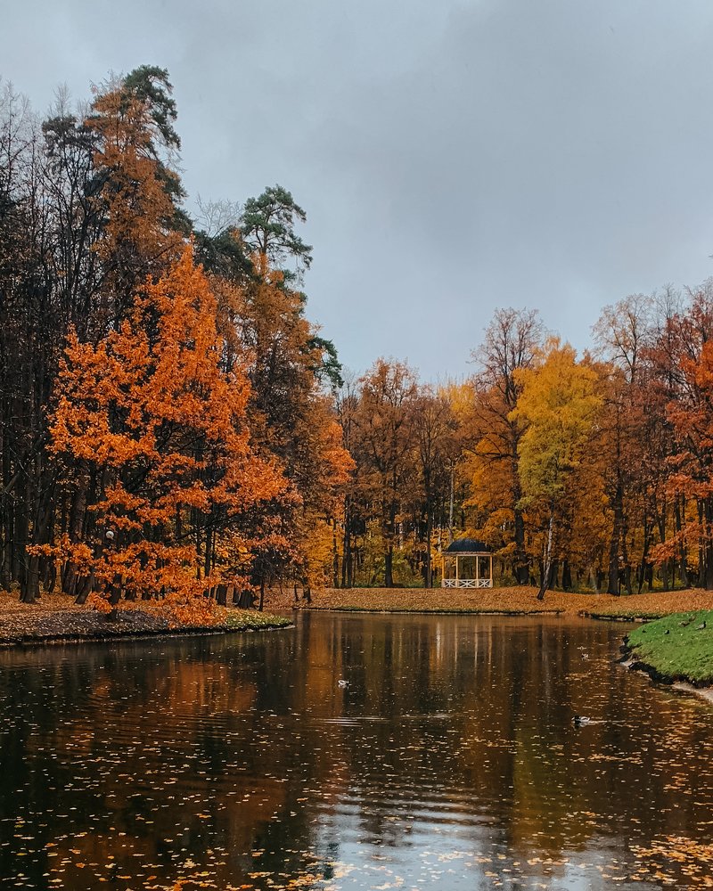 Photograph by Надежда Гаврикова