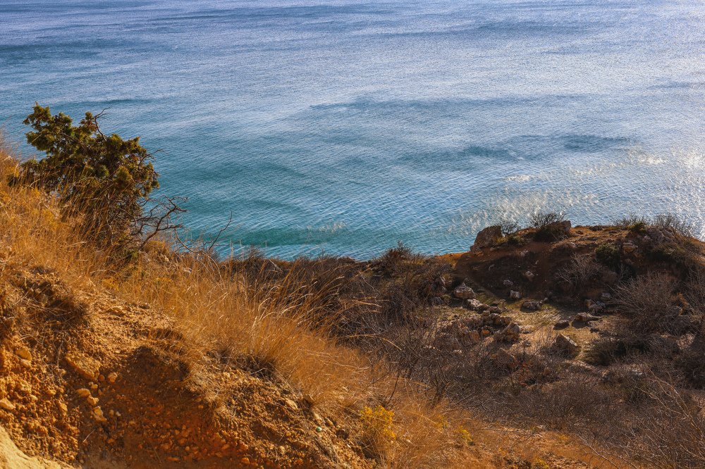 Photograph by Nadezhda Stoliarova