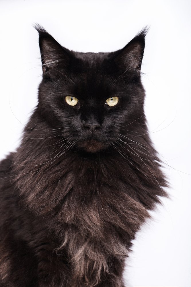 Photograph by Татьяна Довыденко