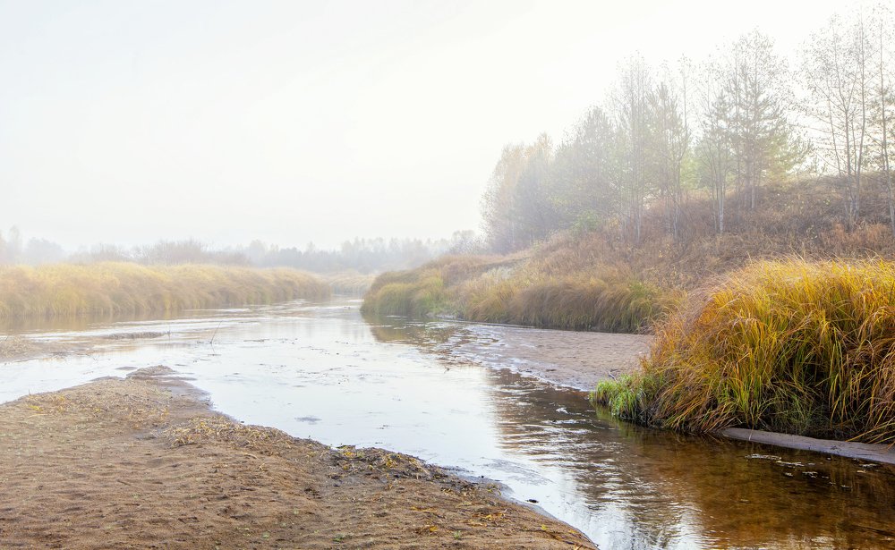 Photograph by Kuzmichev Alexey