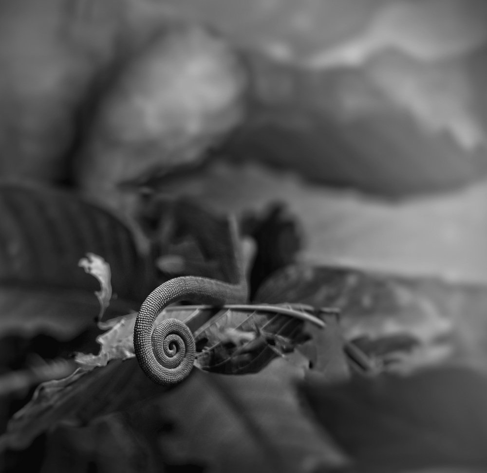 Photograph by KEmish Chaudhari