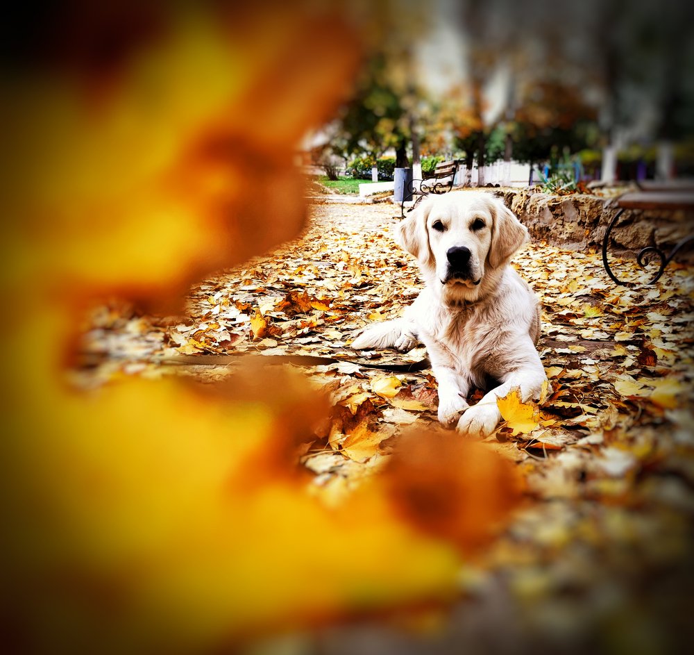 Photograph by Катерина Онацкая