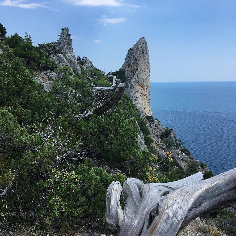 Photograph by Юрий Чекалов