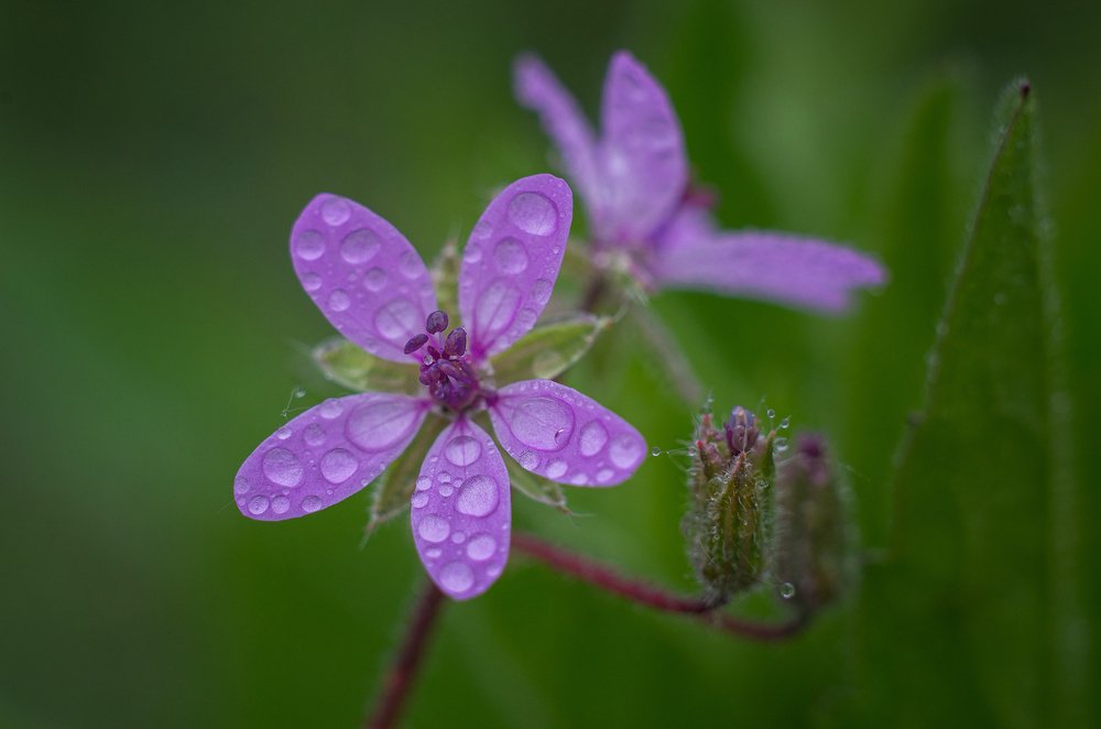 Photograph by Андрей Бурда
