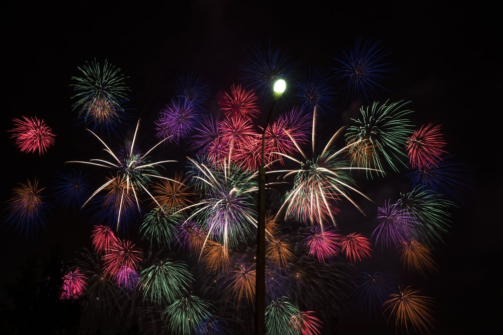 Одуванчики