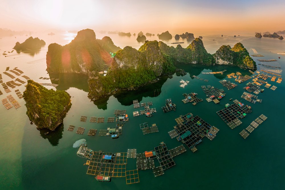 Fish farm on the sea