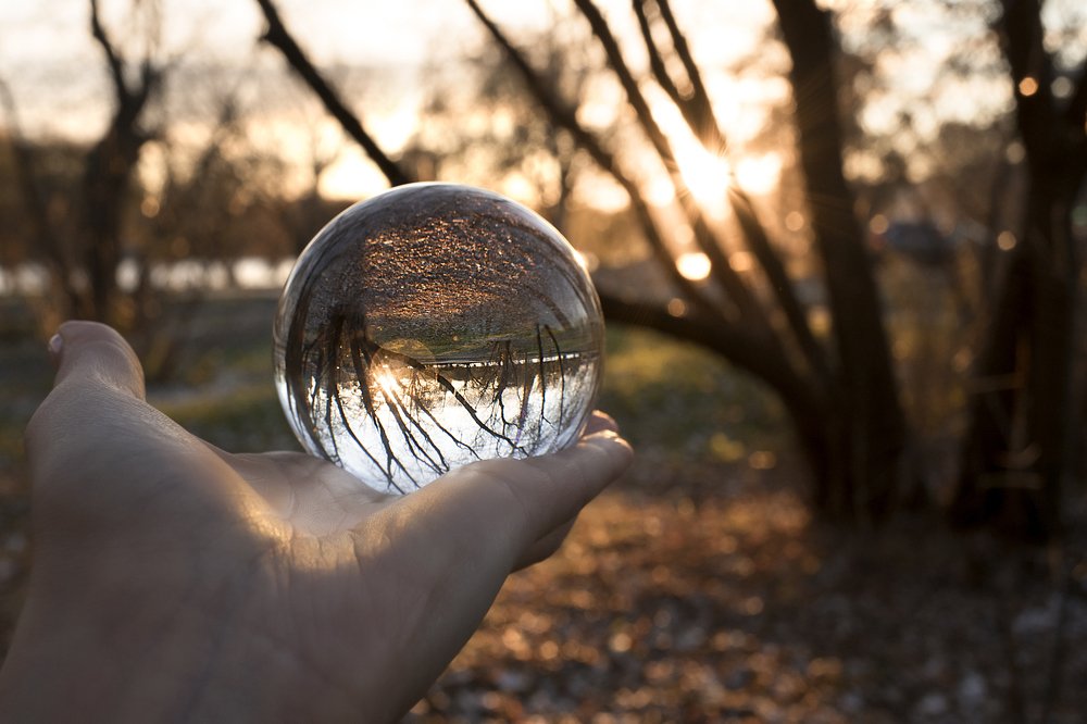 Осень на ладони