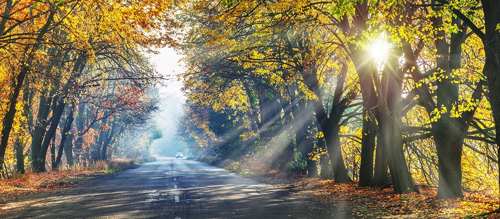 Photograph by Валентин Волков