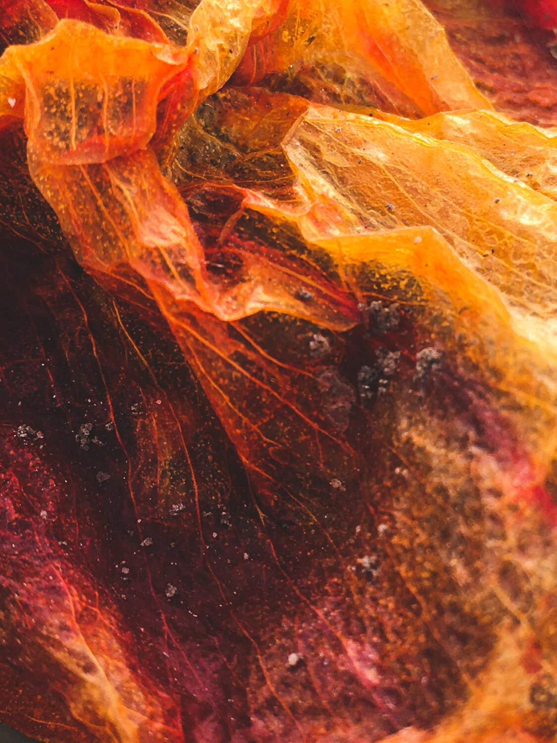 The flames