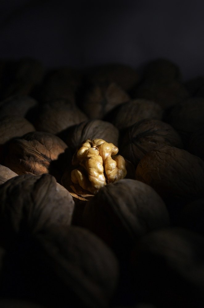 Фотография автора Евгения Илина