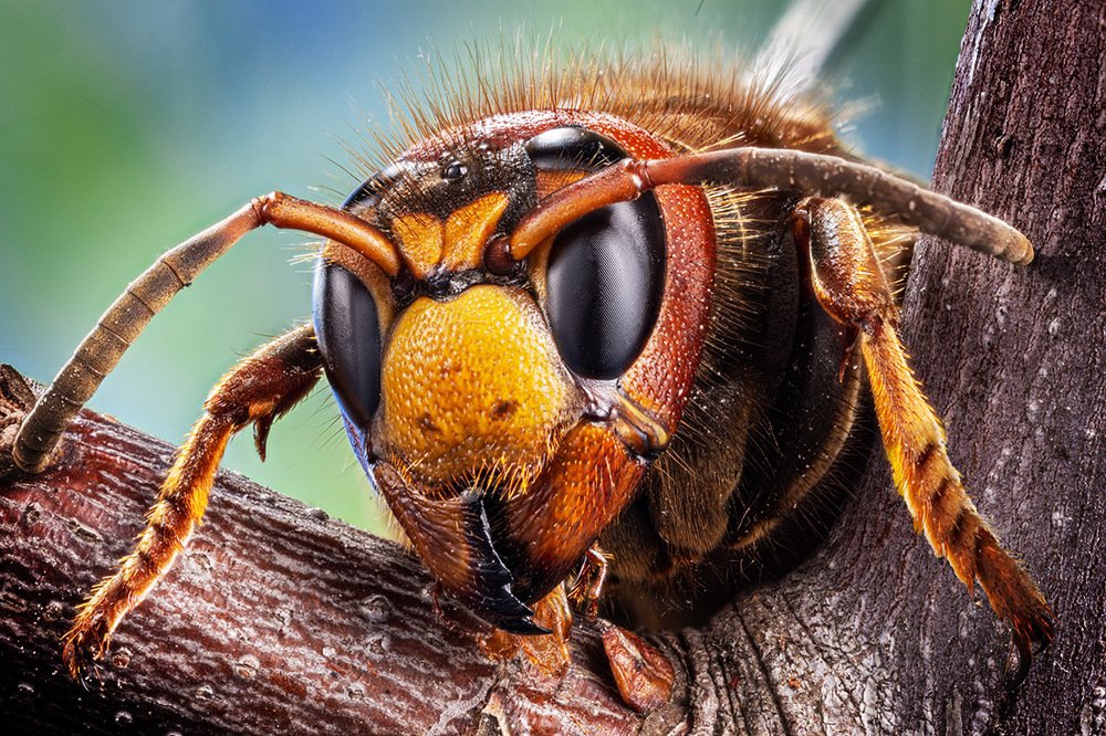 Photograph by Валентин Волков