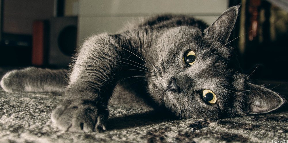 Photograph by Илья Найко