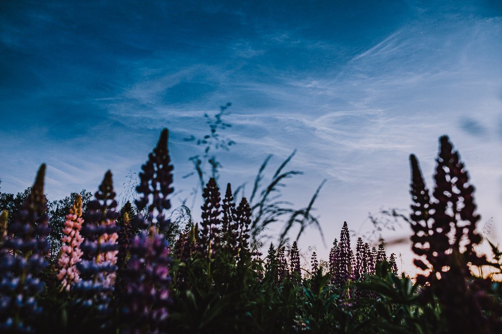 Photograph by Эдгар Черкасов