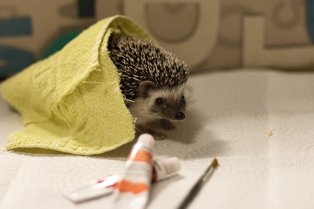 Photograph by Ирина Соболева