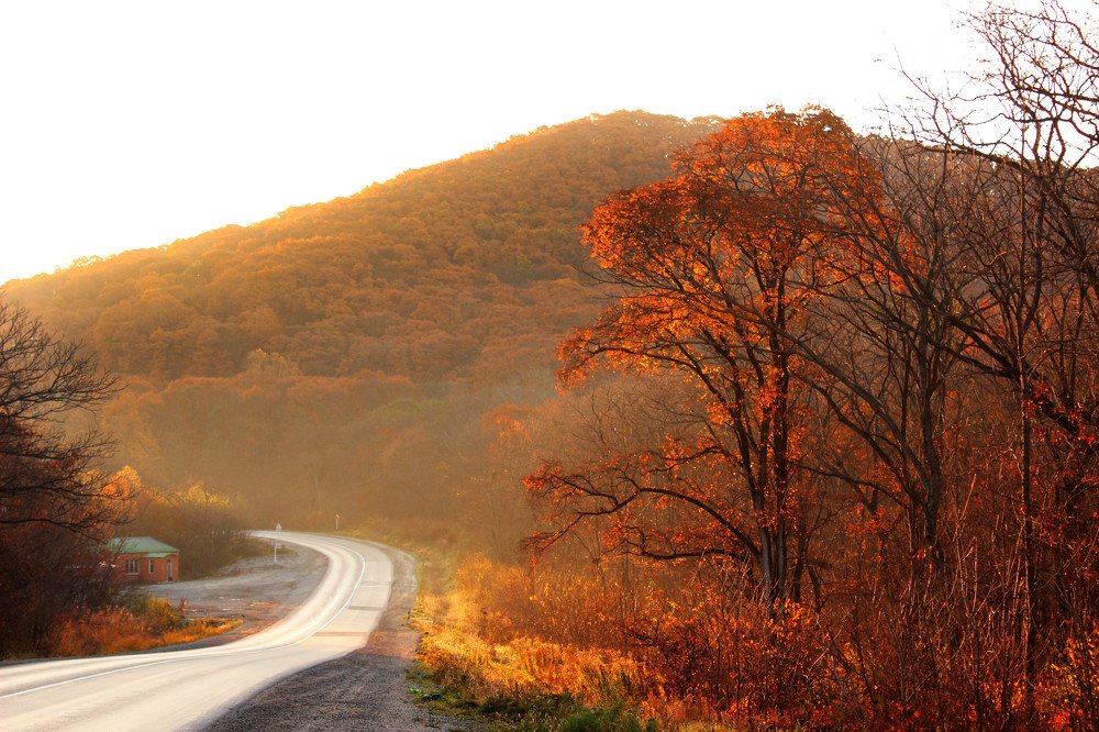 Photograph by Sergey Tsubanov
