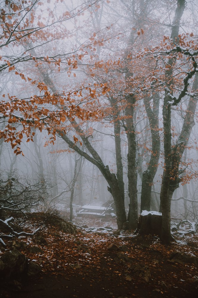 Photograph by Эдгар Черкасов