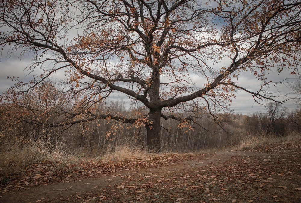 Photograph by Veronika Koneva