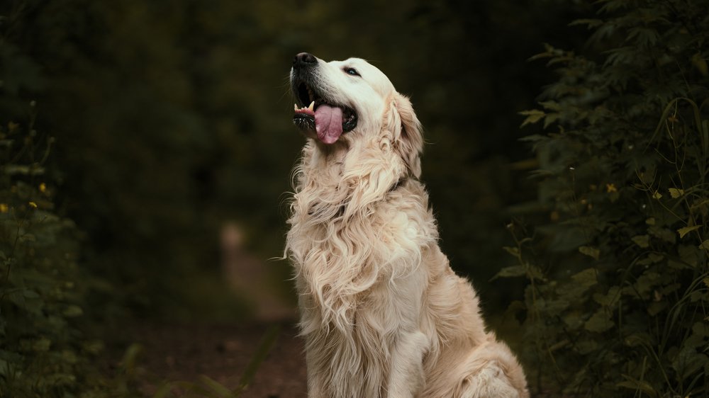 Photograph by Даниил Рождественский