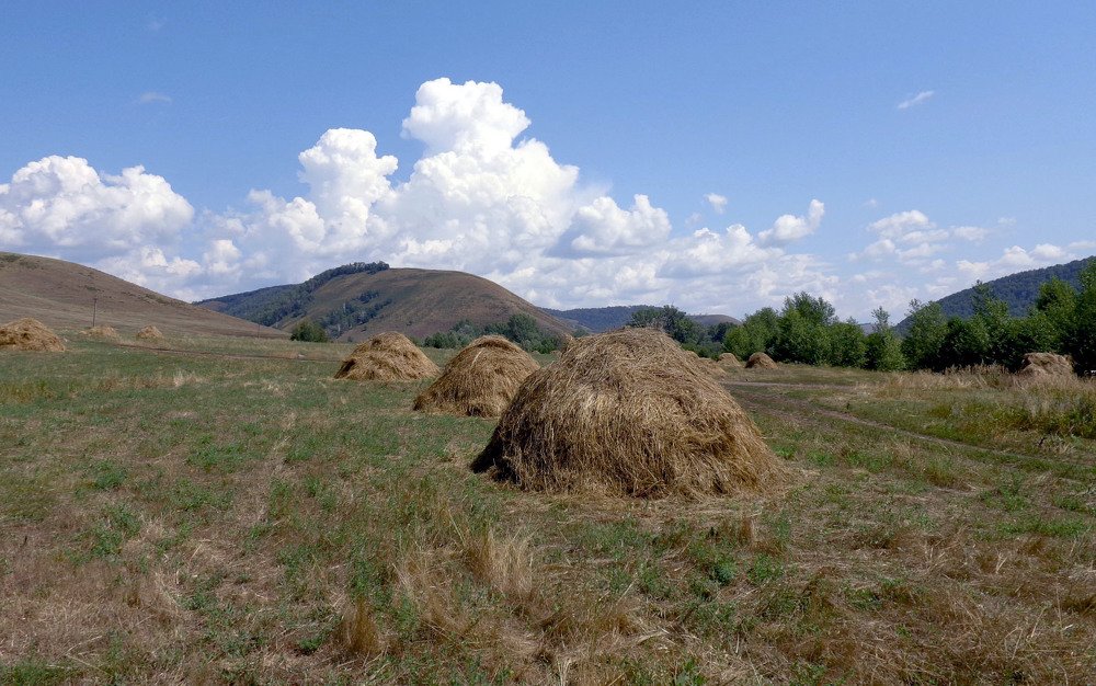 Photograph by Владимир Носов