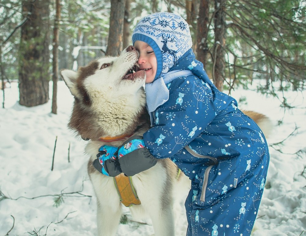 Photograph by Ольга Гуляева