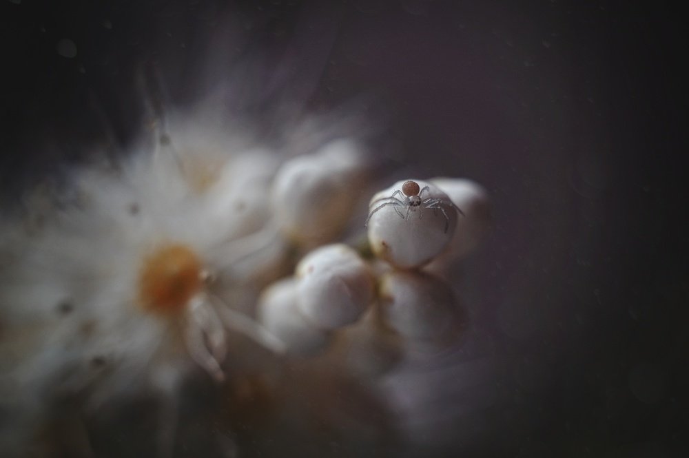 Photograph by Наталья Шленкина