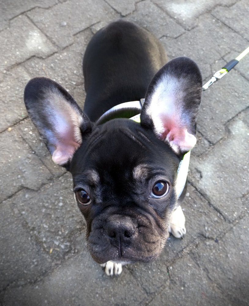 Photograph by Svetlana Victorovna Kibyakova