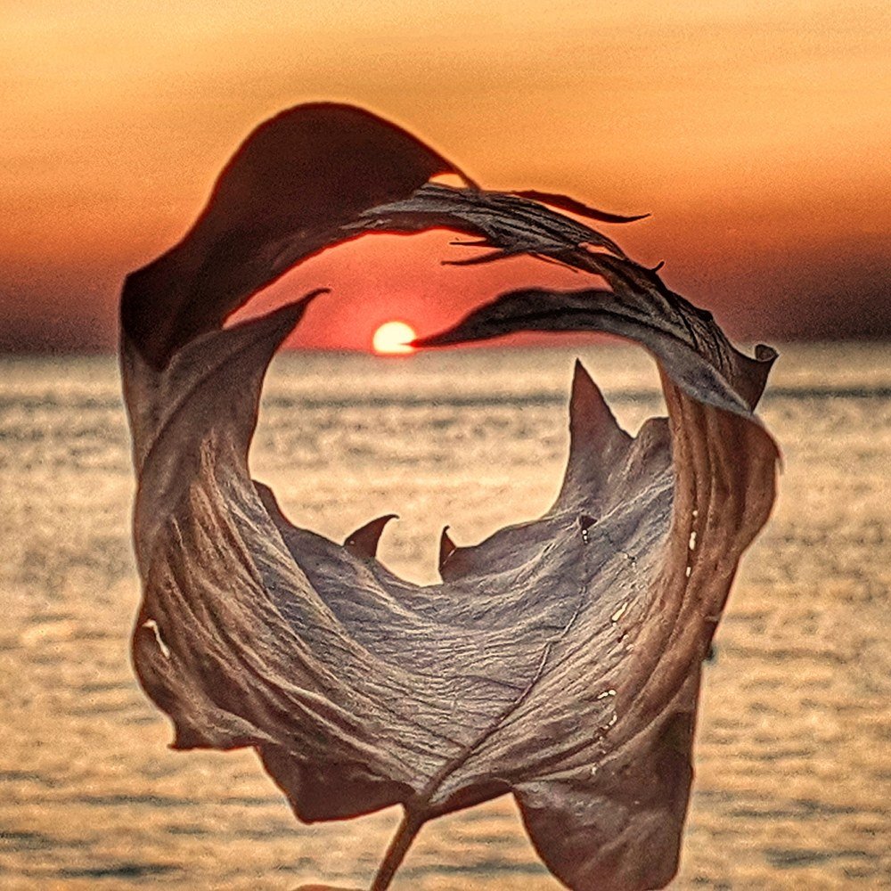 Фотография автора Юлия Таран