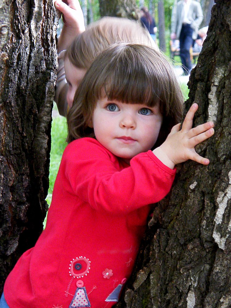 Photograph by Владимир Носов